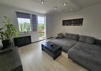 mieszkanie na wynajem - Skoczów, Górny Bór