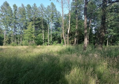 działka na sprzedaż - Ustroń, Nierodzim