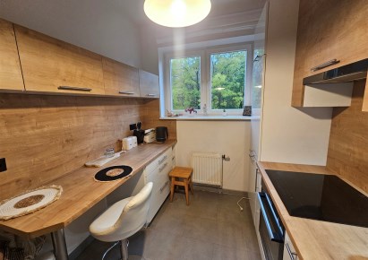 mieszkanie na wynajem - Ustroń, Polana