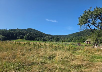 dom na sprzedaż - Brenna